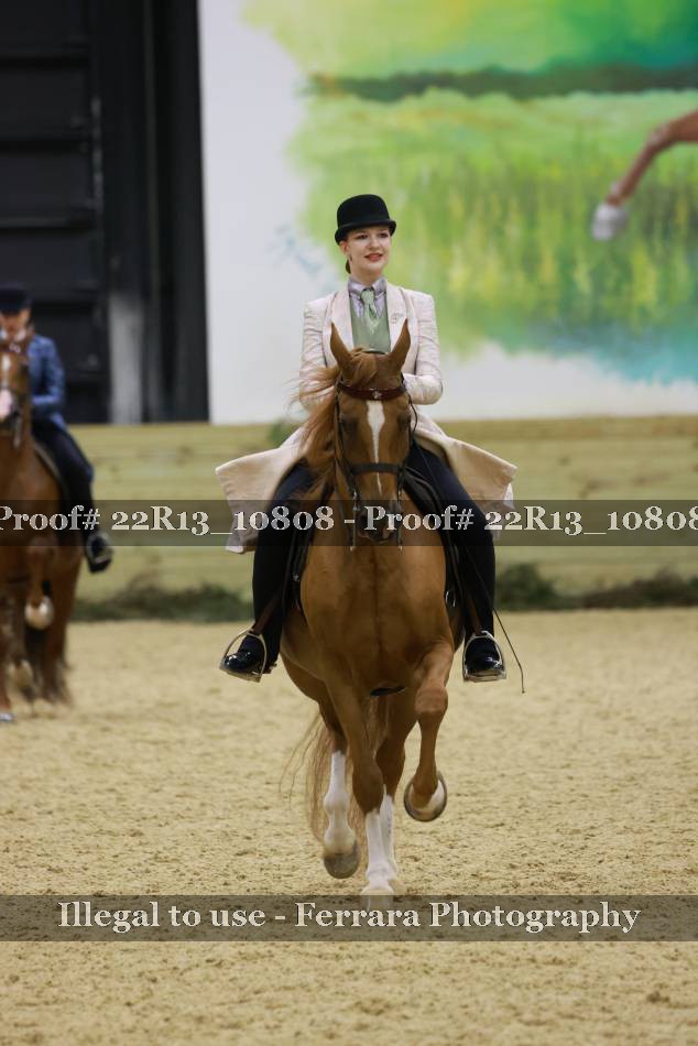 Proof 22R13_10808
