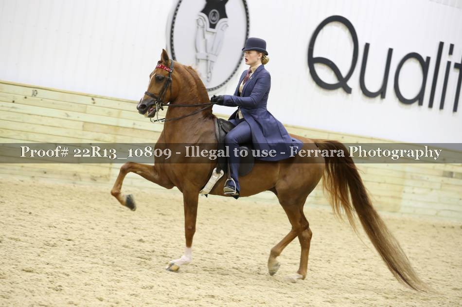 Proof 22R13_10809