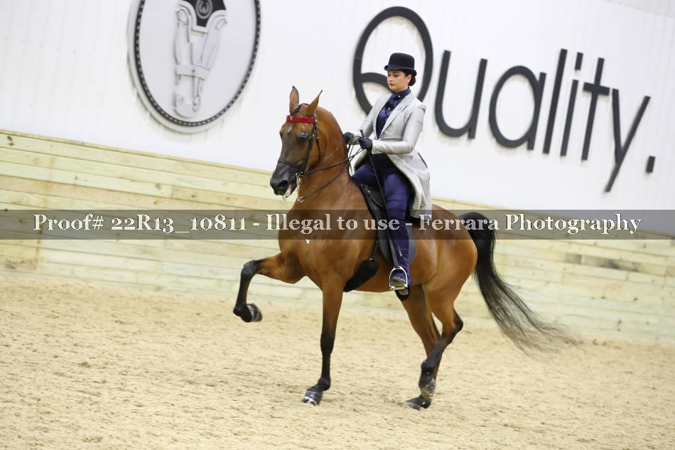 Proof 22R13_10811