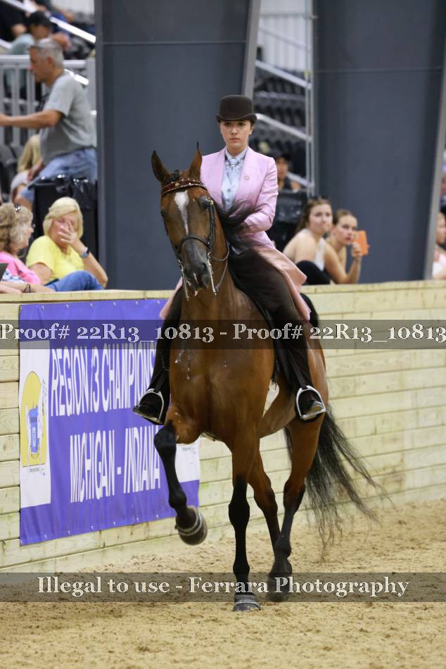 Proof 22R13_10813