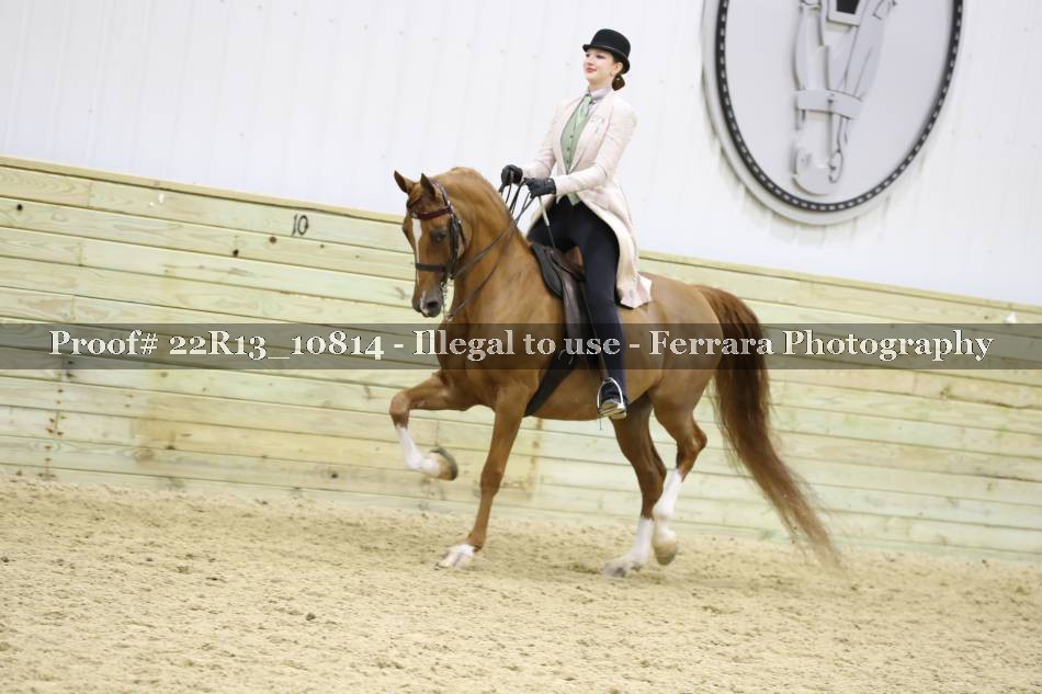 Proof 22R13_10814