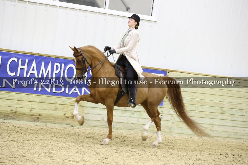 Proof 22R13_10815