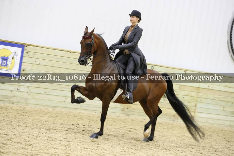 Proof 22R13_10816