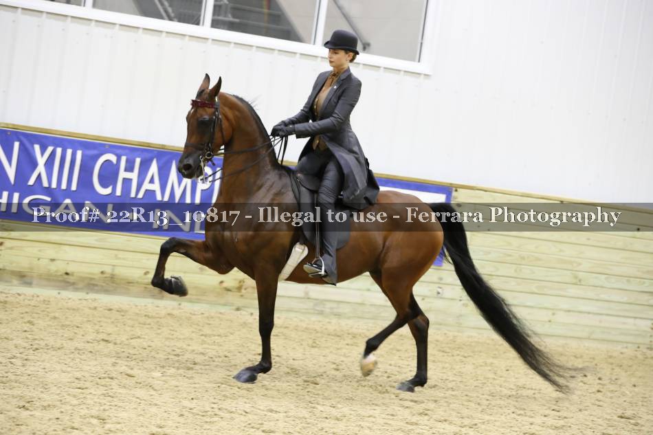 Proof 22R13_10817