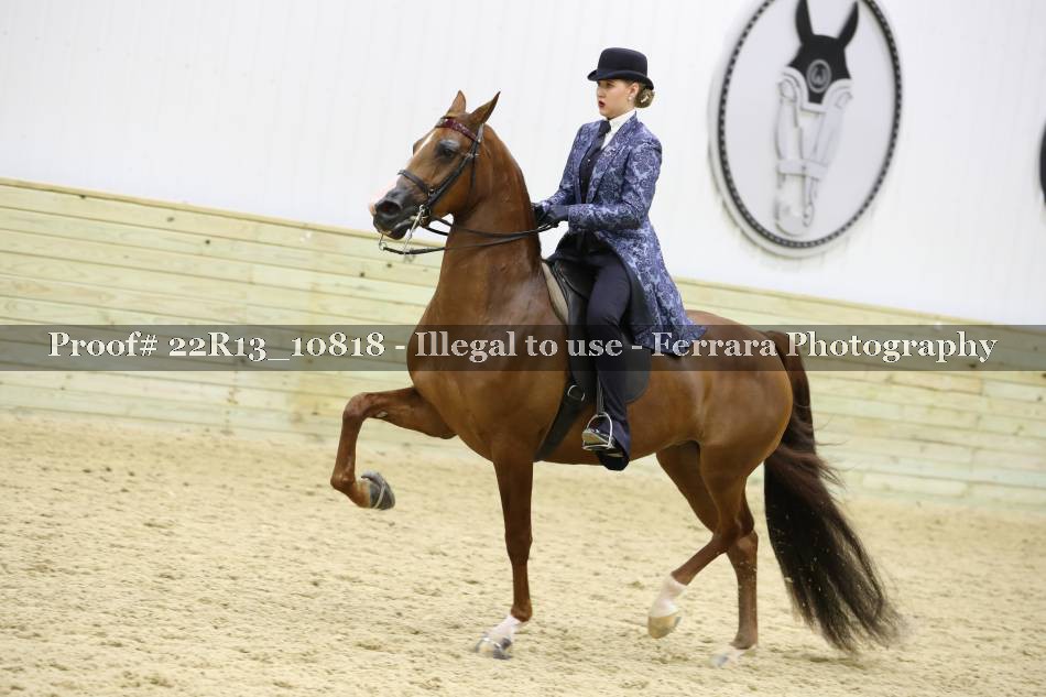 Proof 22R13_10818