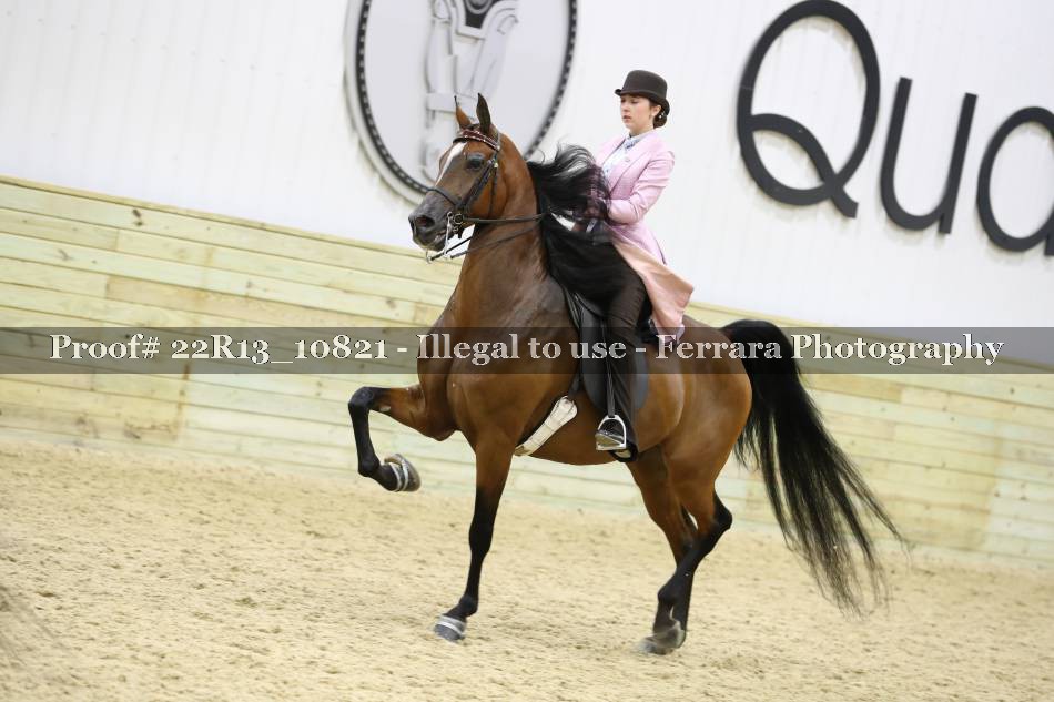 Proof 22R13_10821