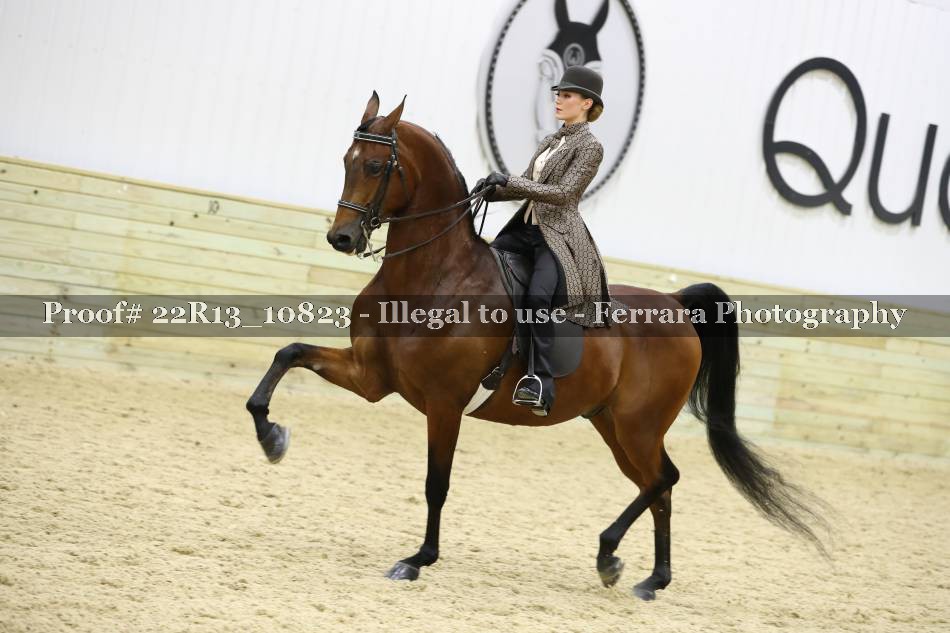 Proof 22R13_10823