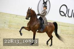 22R13_10823 proof