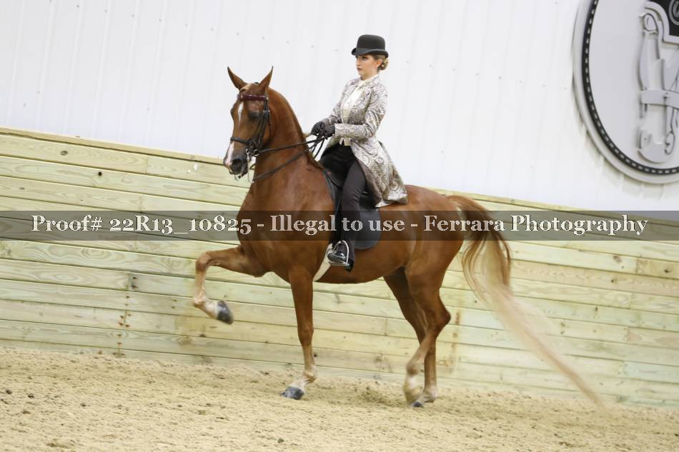 Proof 22R13_10825