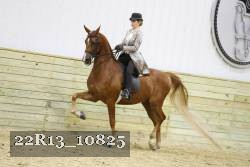 22R13_10825 proof