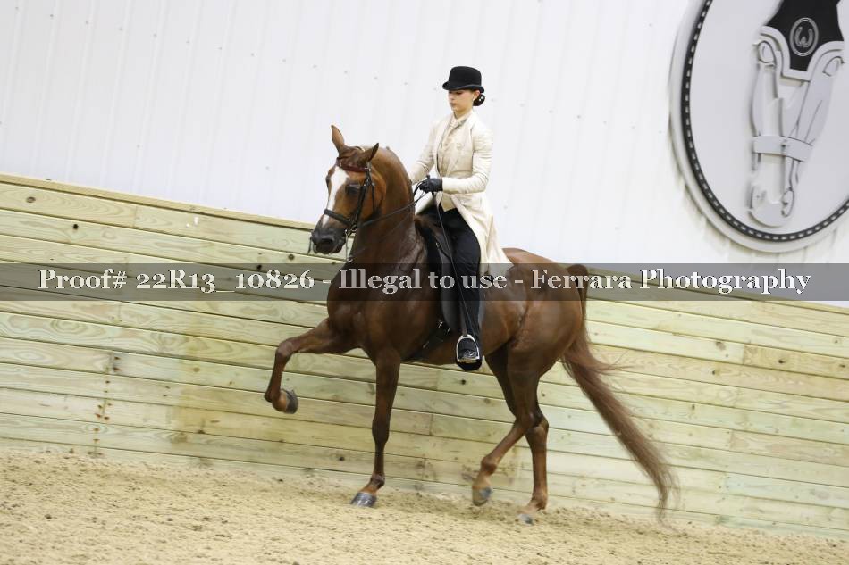 Proof 22R13_10826
