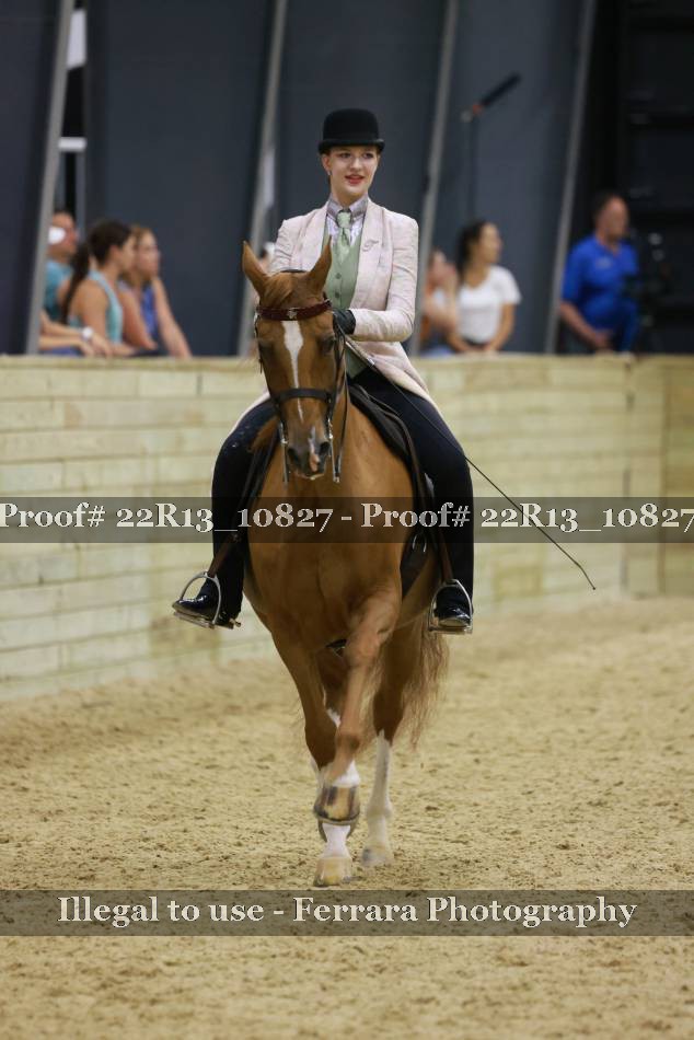 Proof 22R13_10827