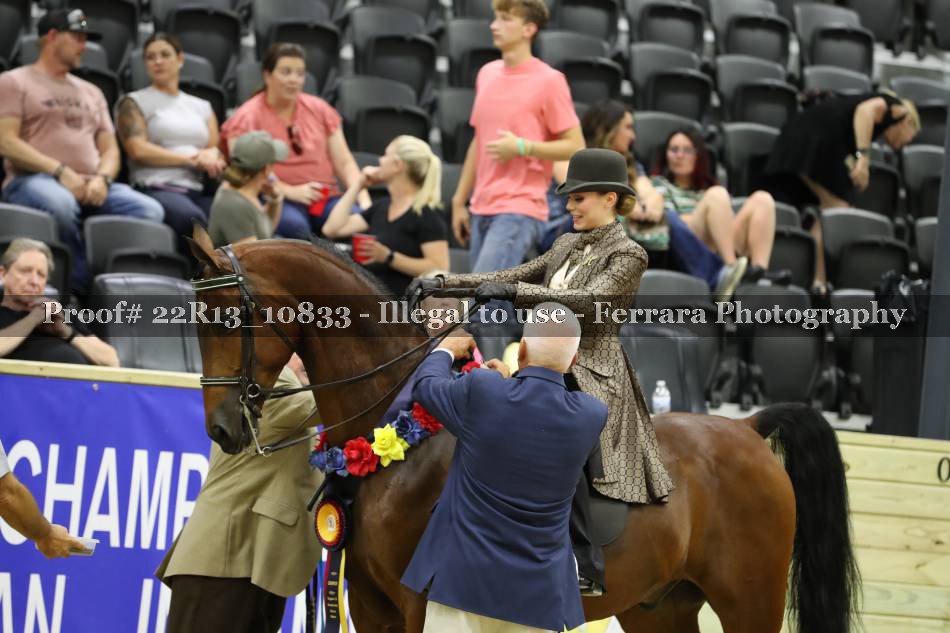 Proof 22R13_10833