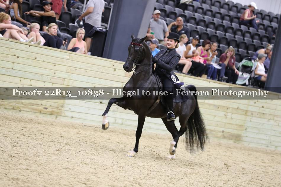 Proof 22R13_10838