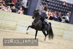 22R13_10838 proof