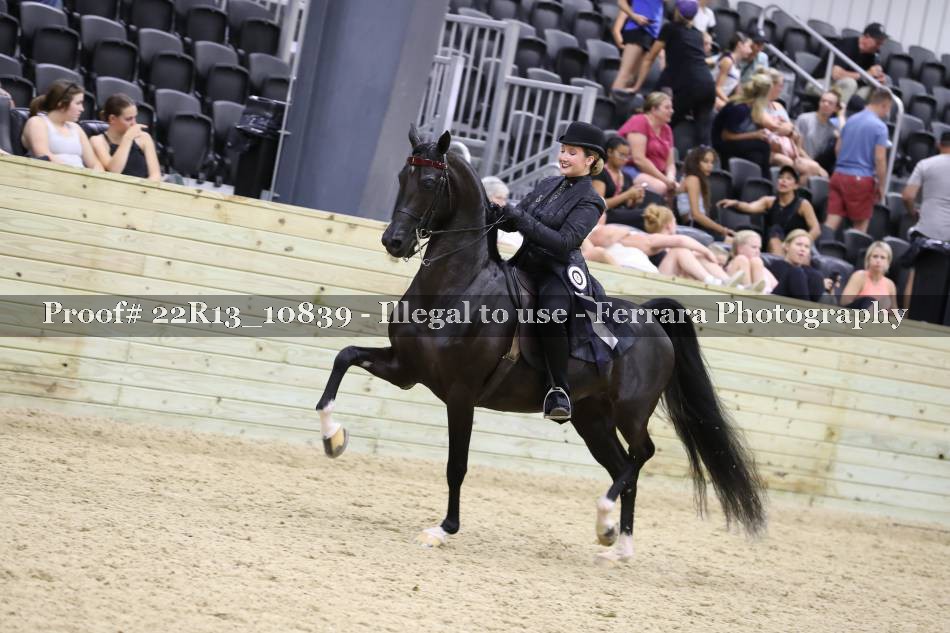 Proof 22R13_10839