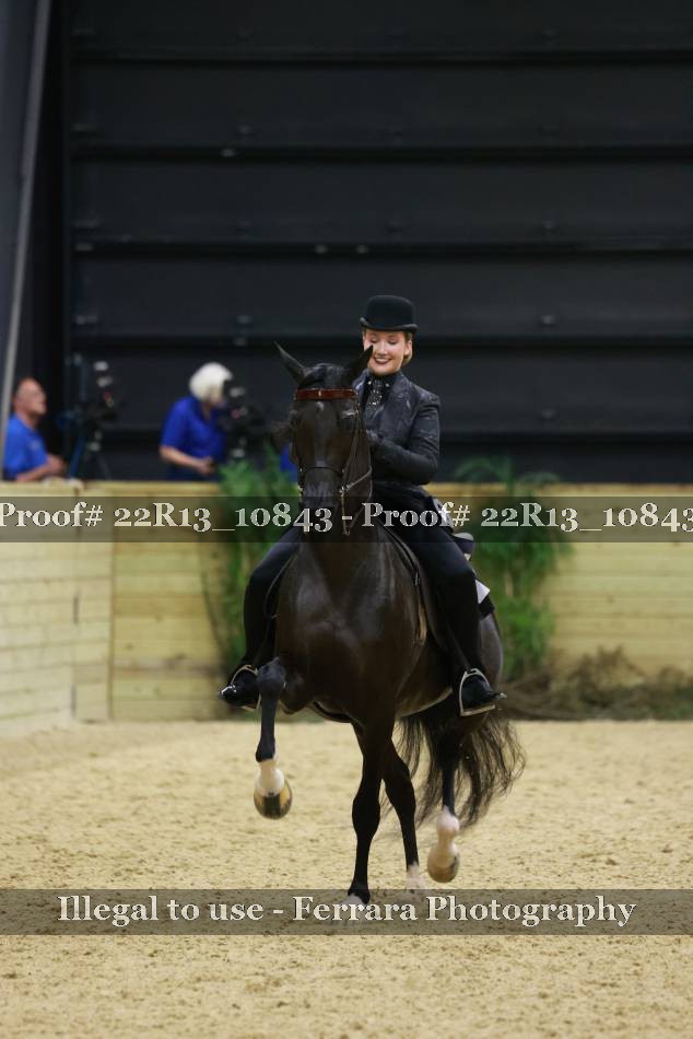 Proof 22R13_10843