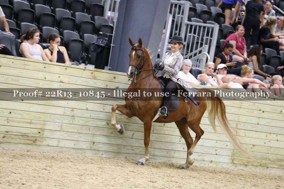 Proof 22R13_10845