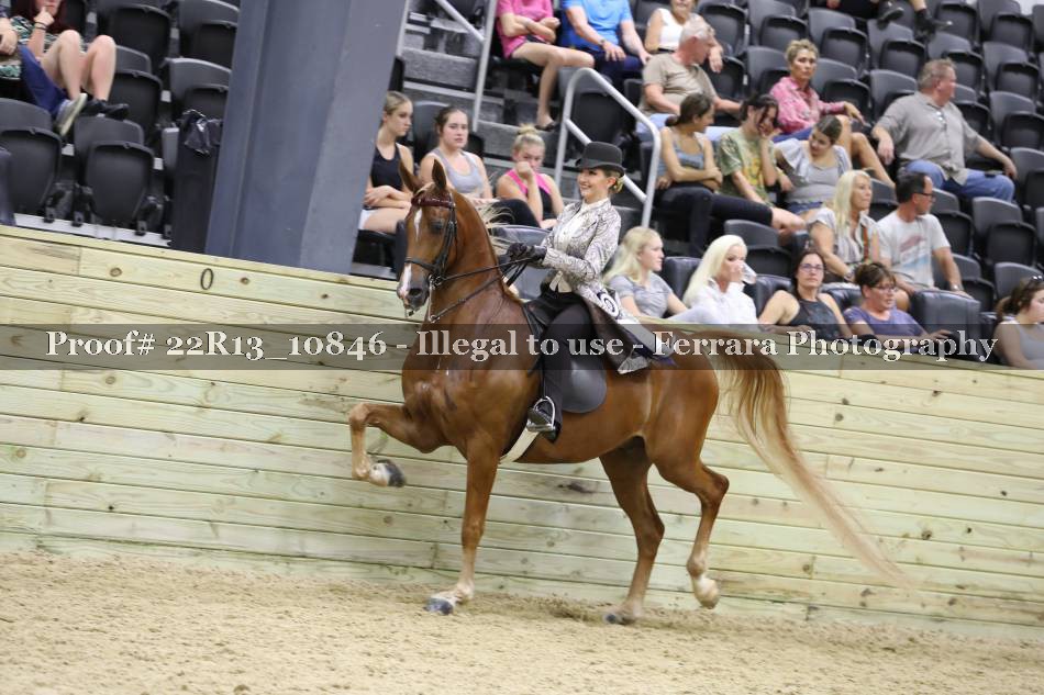 Proof 22R13_10846