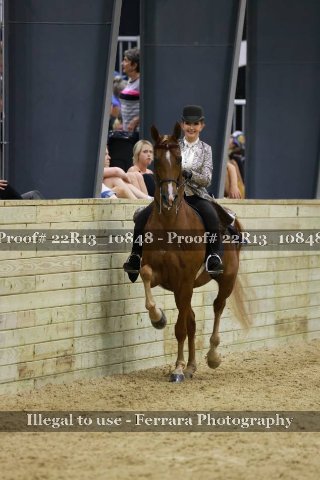 Proof 22R13_10848