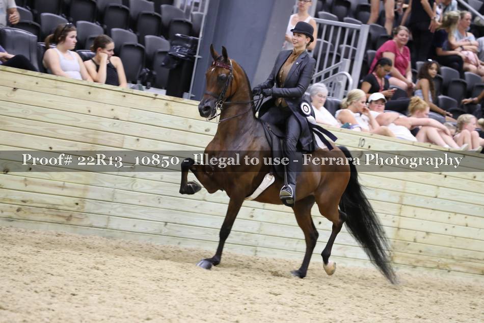 Proof 22R13_10850