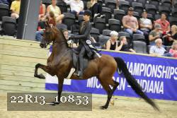 22R13_10853 proof