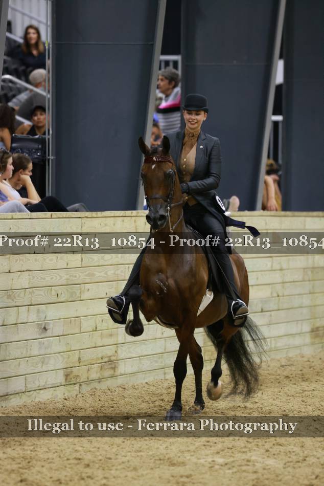 Proof 22R13_10854