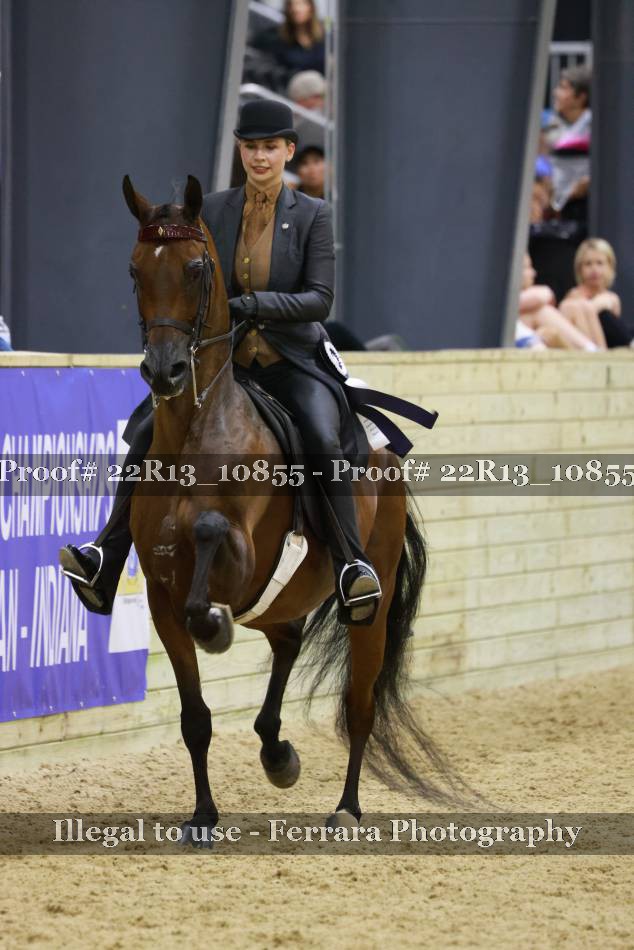 Proof 22R13_10855