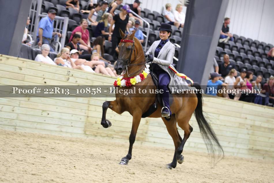Proof 22R13_10858