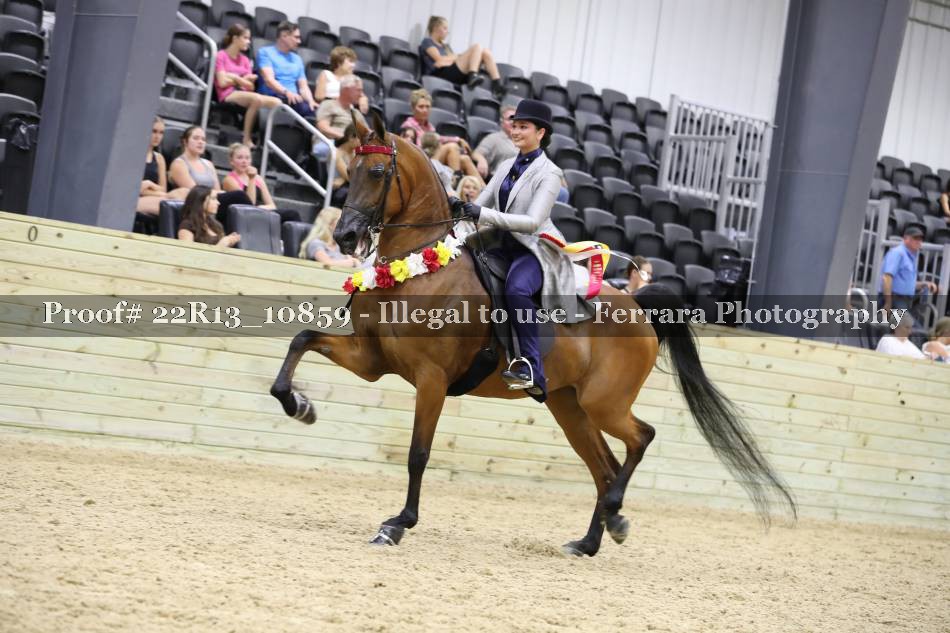 Proof 22R13_10859