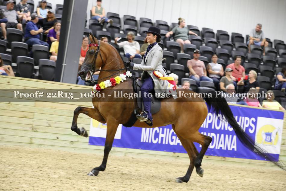 Proof 22R13_10861