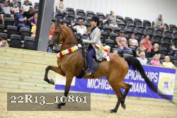 22R13_10861 proof