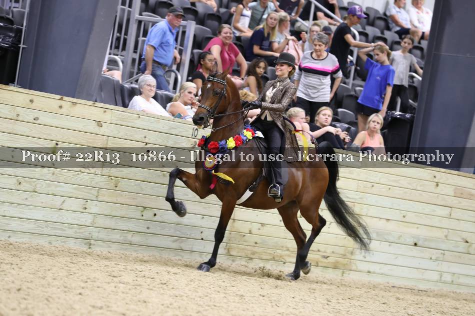 Proof 22R13_10866