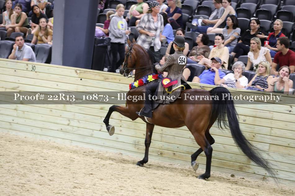 Proof 22R13_10873