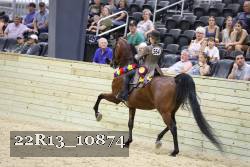 22R13_10874 proof
