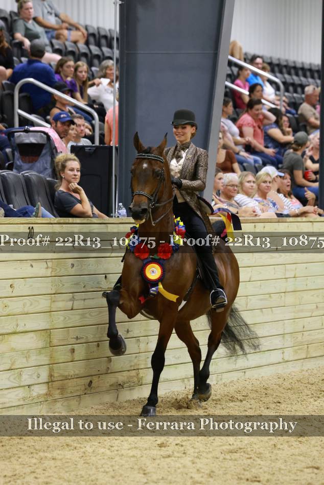 Proof 22R13_10875