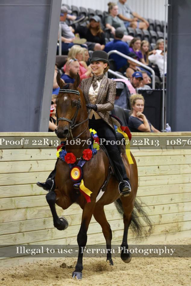 Proof 22R13_10876