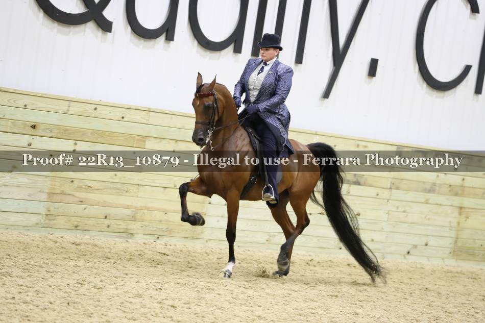 Proof 22R13_10879