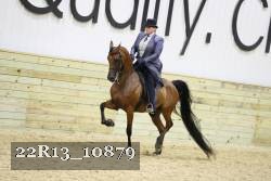 22R13_10879 proof