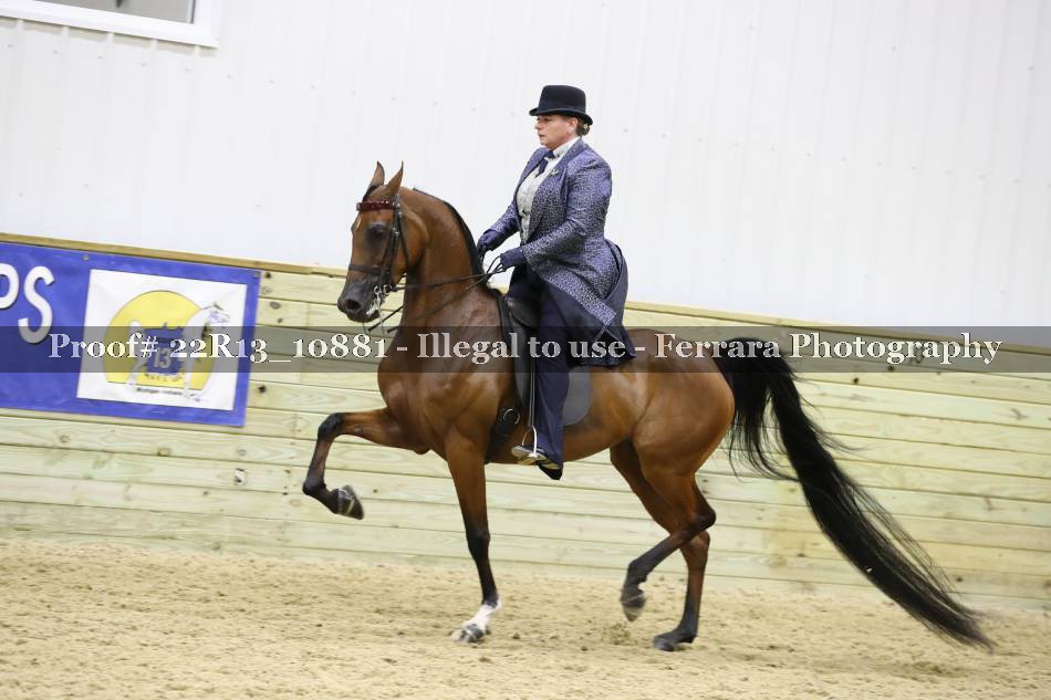 Proof 22R13_10881