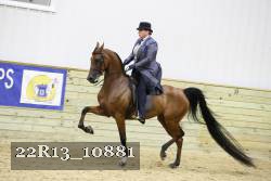 22R13_10881 proof