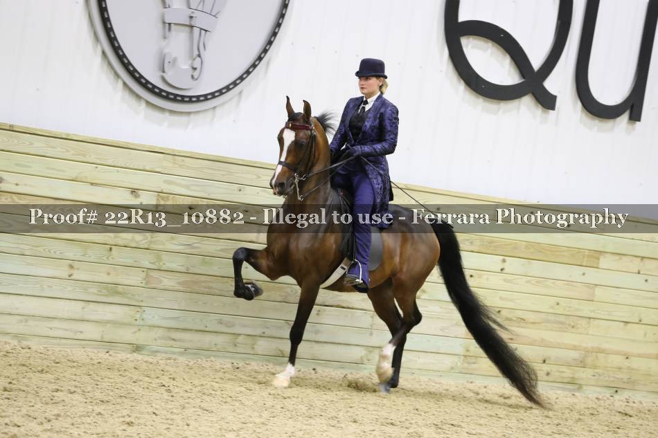 Proof 22R13_10882