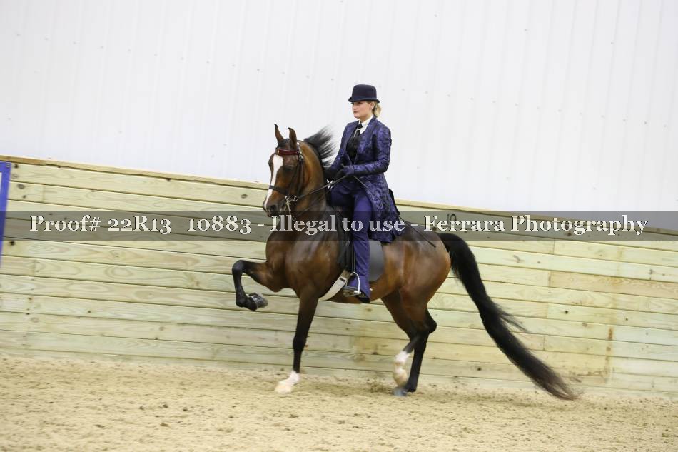 Proof 22R13_10883