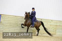 22R13_10883 proof
