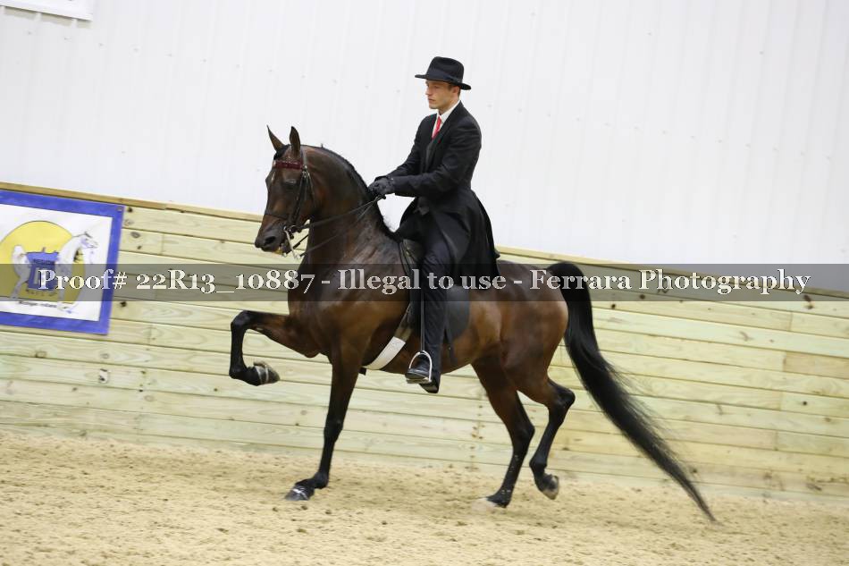Proof 22R13_10887