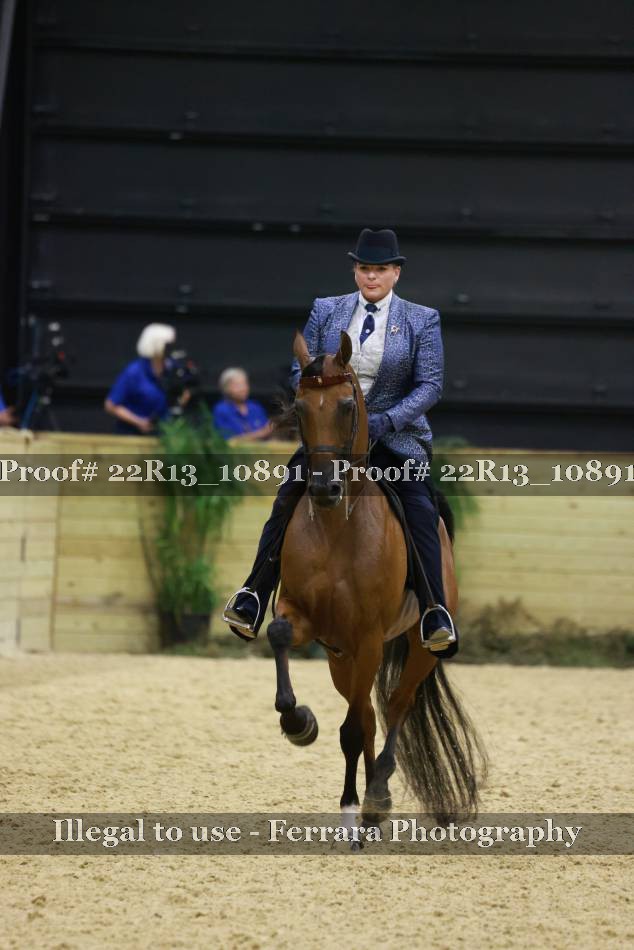 Proof 22R13_10891