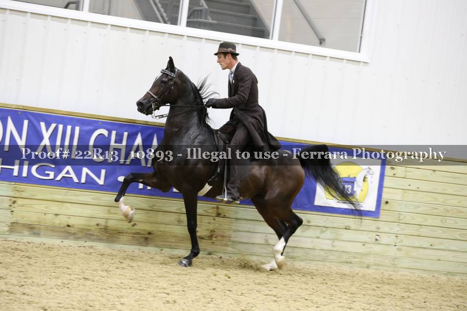 Proof 22R13_10893