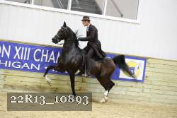 22R13_10893 proof