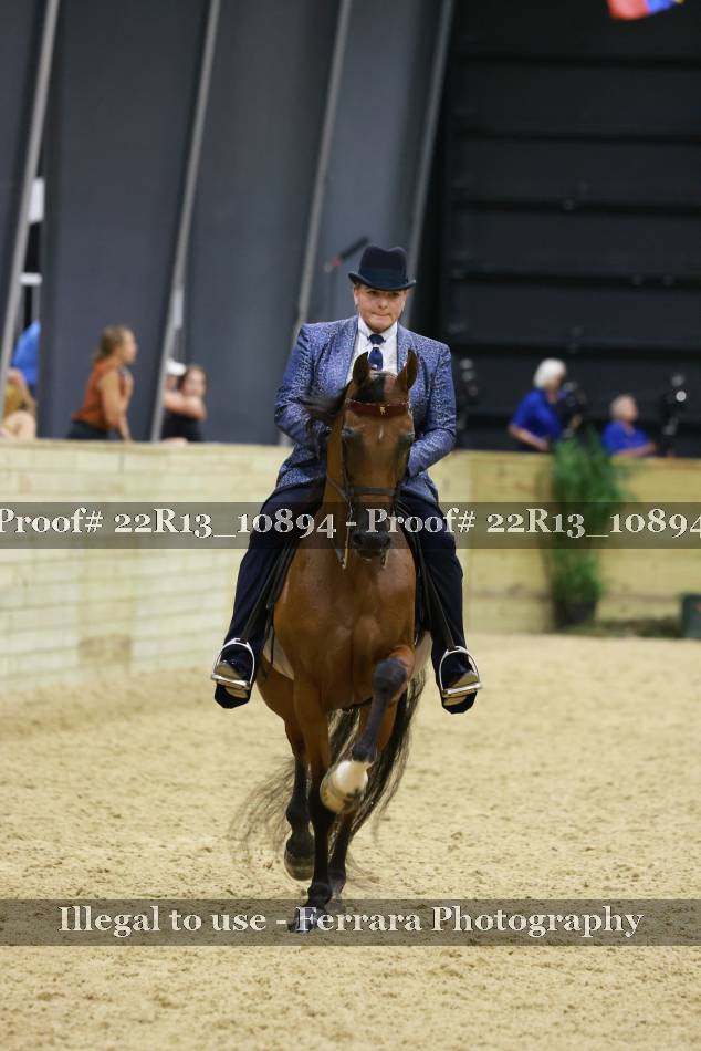 Proof 22R13_10894
