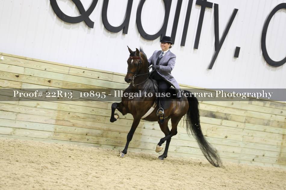 Proof 22R13_10895